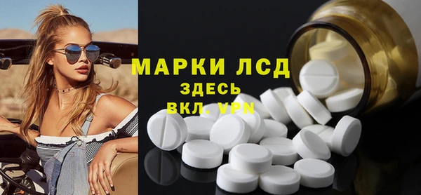 индика Дмитриев