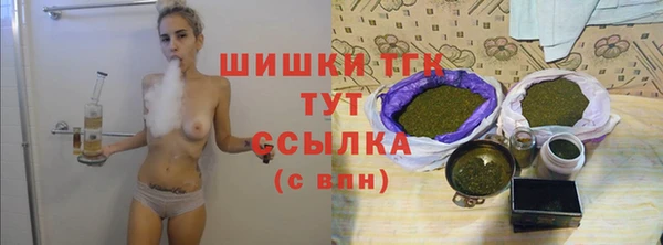 гидра Гусь-Хрустальный