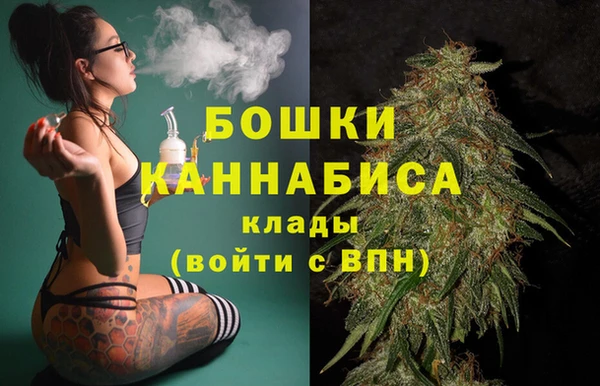 индика Дмитриев