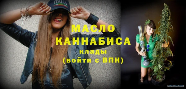 гидра Гусь-Хрустальный