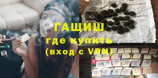 индика Дмитриев
