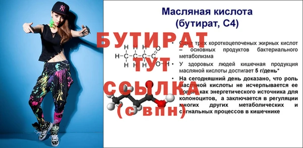 индика Дмитриев