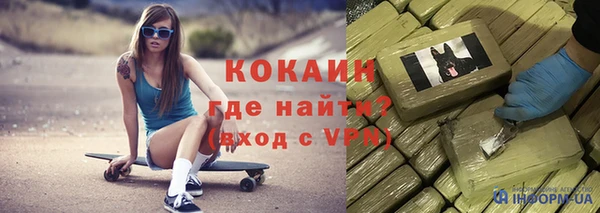 гидра Гусь-Хрустальный