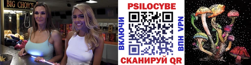 Псилоцибиновые грибы MAGIC MUSHROOMS  купить  цена  Закаменск 